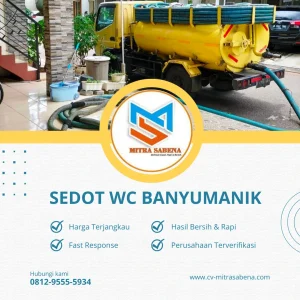 Sedot WC Bayumanik